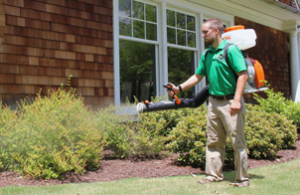 Mosquito Joe technician spraying bushes out of a home. 