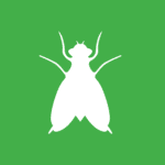 gnat icon on green background